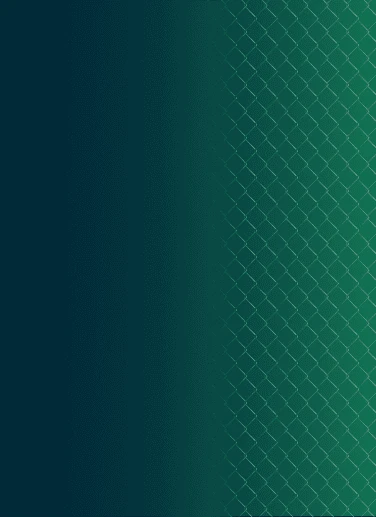 ufc-main-image
